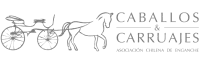 Caballos y carruajes